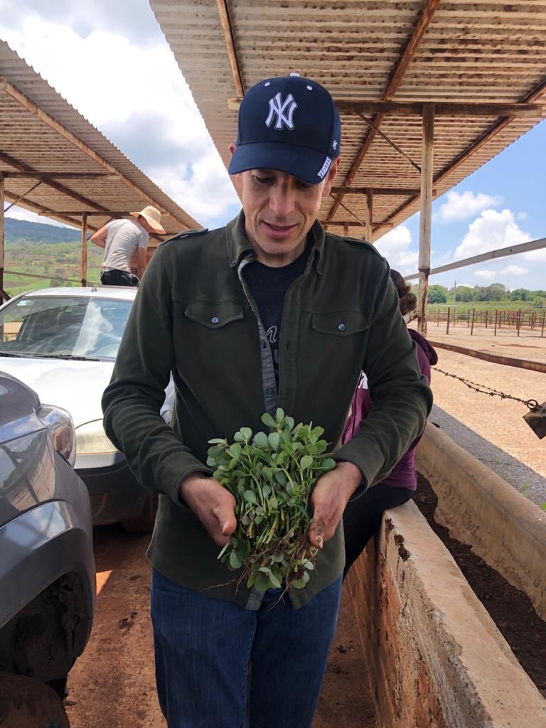 Miguel Castro tweet media