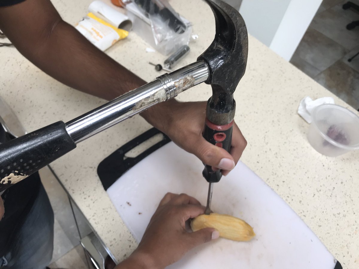 GeeKader's tweet photo. After the success of growing coriander, my son and I spent some quality time trying to grow a mango tree! #RMNotGoingOut number 15- definitely trying something new! Yes... thatβs a hammer trying to open the husk to find the seed! @RusheyMeadAcad https://t.co/fNfstEAwMH