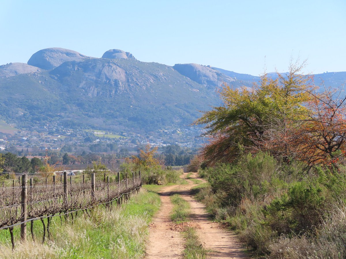 PropertyShowDay's tweet photo. MANDELA DAY: Peaceful spaces below the Klein Drakenstein Mountains in Paarl was just what the doctor ordered for many who walked for 67 minutes for a good cause! #MandelaDay #ubuntu #MeetOurSouthAfrica #MandelaMonth #Search4Ubuntu #MandelaDay2020 https://t.co/j6vpW7EWtJ https://t.co/adwj9Ut0i6