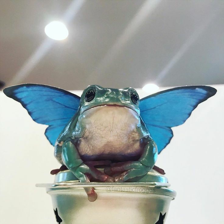 idk if i should keep on going