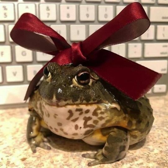 idk if i should keep on going