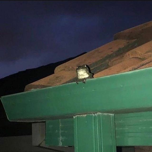 idk if i should keep on going