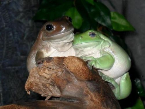 idk if i should keep on going