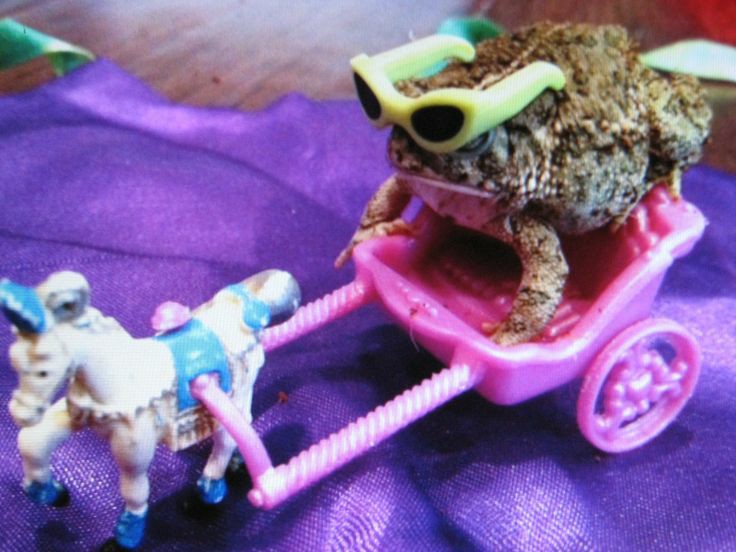 idk if i should keep on going