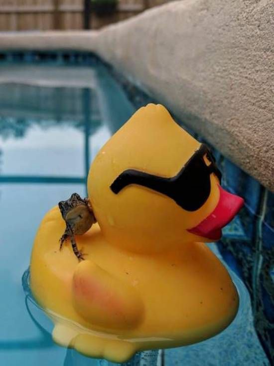 idk if i should keep on going