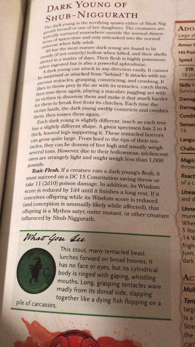 I love these “what you see” descriptors. Great little sidebars.