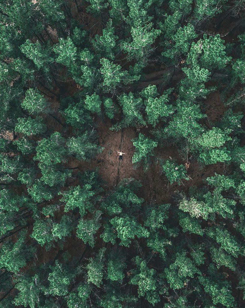 Cityplan_Chile's tweet image. Arauco, Chile 
@sebavarelam 
#paisajeschile