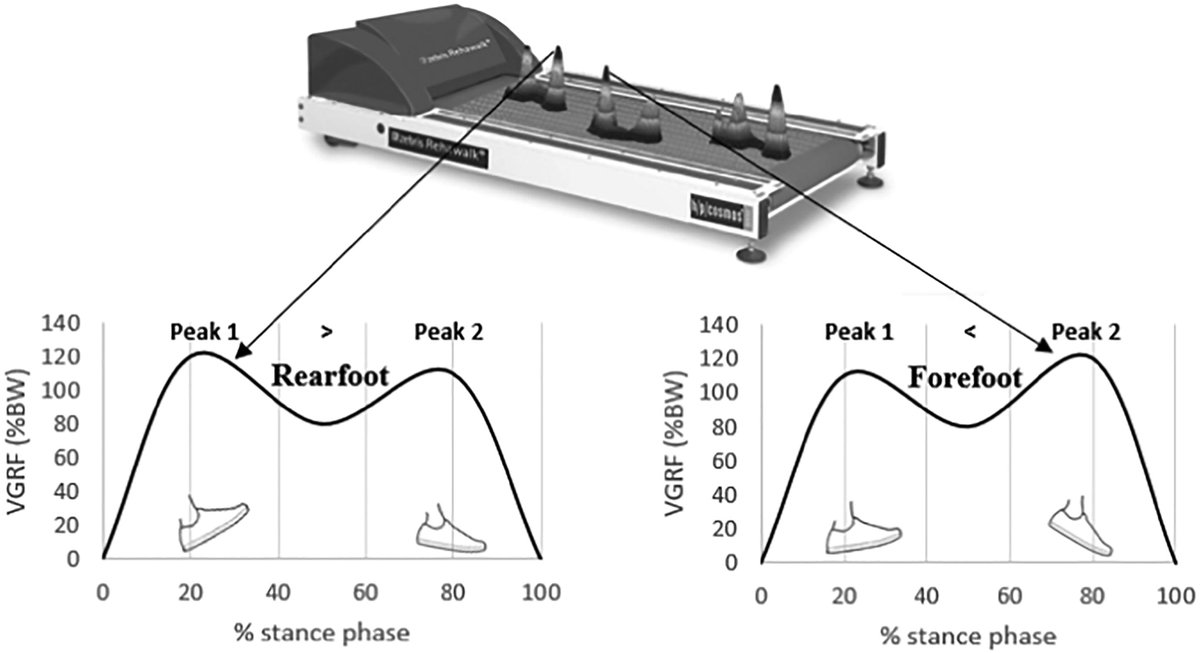 JBiomech's tweet photo. Rearfoot-forefoot profile defined by vertical ground reaction forces during gait is altered in patients with unilateral intermittent claudication
https://t.co/tUyPFFbyVQ
#biomechanics https://t.co/Y3TjTm8GBZ