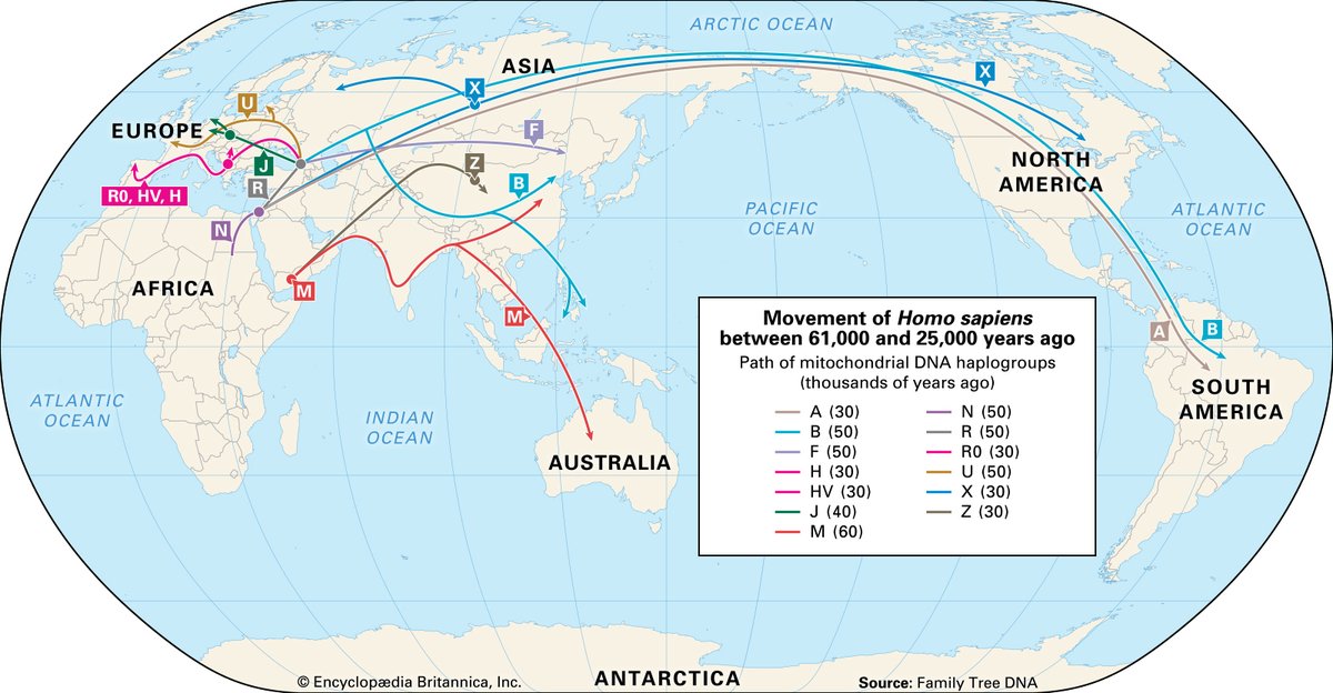 Side note: Your mitochondrial DNA is the same as your mother, grand-mother, great-grandmother etc making it ideal to study how humans migrated over the world  https://www.britannica.com/science/mtDNA 
