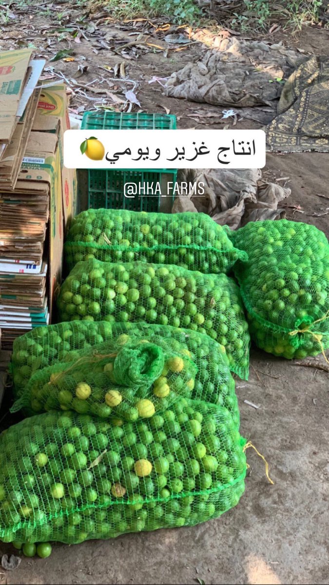 laden_om2020's tweet photo. 🌱🍃🍀🌿✨ https://t.co/rsV3od27yz