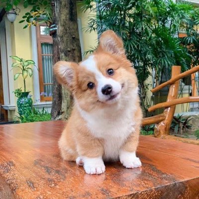 hoangankk's tweet photo. #ẢnhHồsơMới https://t.co/6MPiAp8Sl5