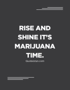 CowtownCron's tweet photo. Morning everyone! 🤚🌱
#yyc #calgary #yycbased #supportlocal #localbusiness #cannabis #cannabiscommunity #CBD #funny #THC #CTCKW https://t.co/LyIoHfpfHu