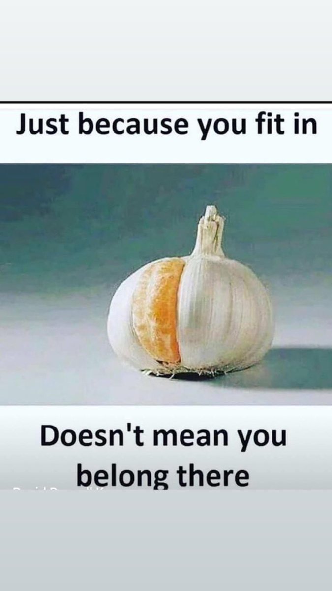 bthisl's tweet image. #BlackLivesMatter ✊🏾