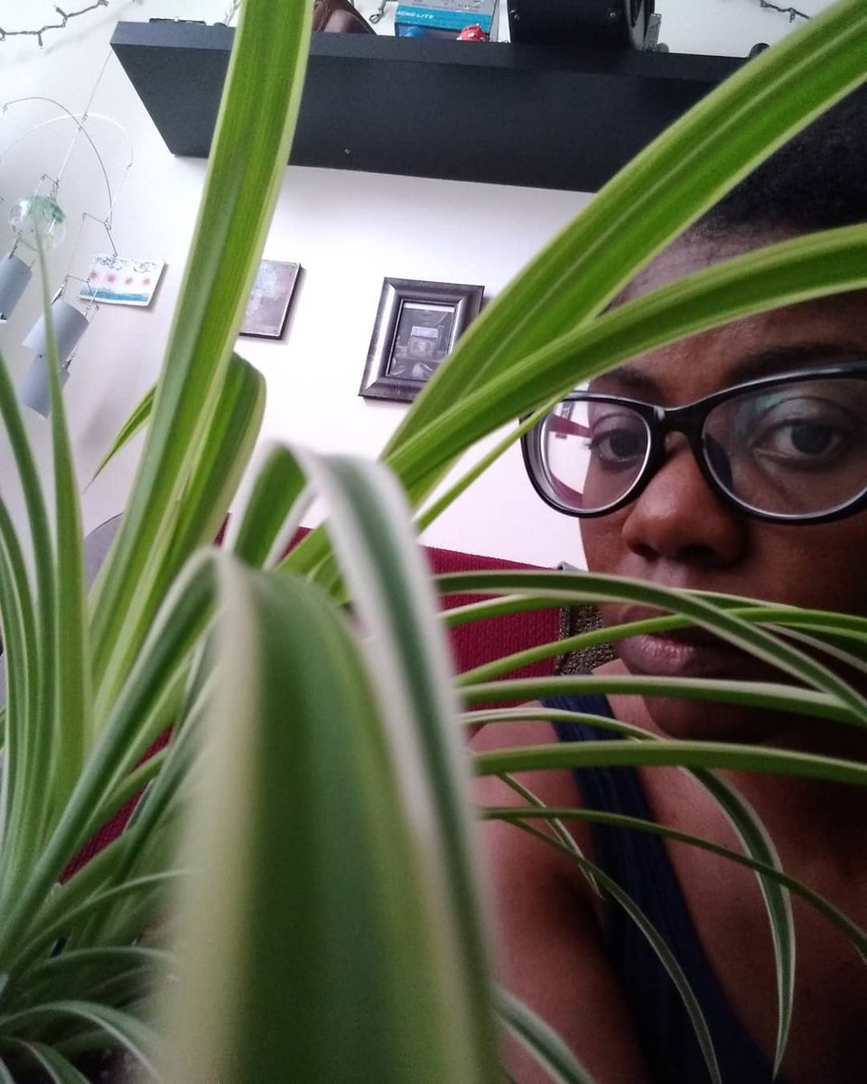 WebseriesWishs's tweet photo. Hey Team WISHsrs!
May the harm 
U've experienced 
Be healed /
May the harm
U've caused
Be forgiven
N healed /
May we be healed /
Also, a leaf of this plant
Brushed the screen
N Literally
Took the last two photos
Itself! https://t.co/xPddgtUqMf