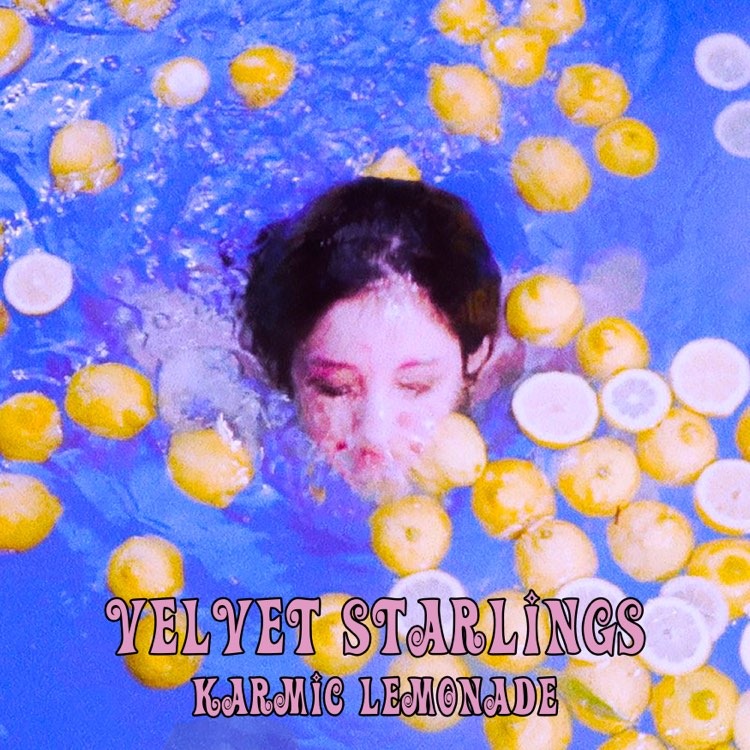 Marc Alan Platt tweet media