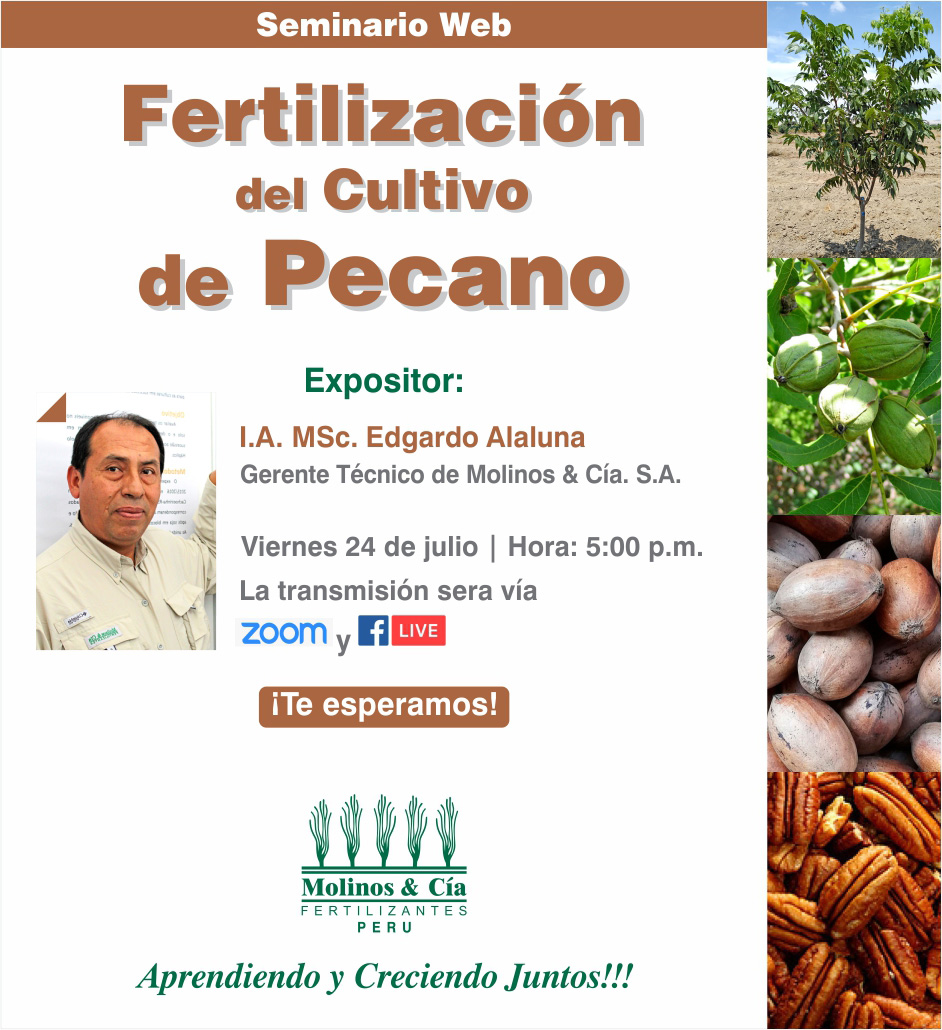 Molinos_Peru's tweet photo. Seminario "Fertilización del Cultivo de #Pecano"
#Sigamosaprendiendojuntos 
📆 Fecha: viernes 24 de Julio
⏰ Hora: 5:00pm, Lima - Perú
💻 Plataforma Zoom y FacebookLive
👉 Clic en el enlace para unirse al seminario web vía Zoom: https://t.co/3nBQv1jJri

️👉Nos vemos!🇵🇪️ https://t.co/4aTihc33Bj