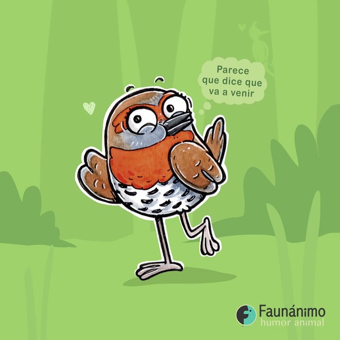 faunanimo's tweet photo. Estos coquetos chucaos lo saben!
Ayer lanzamos la preventa de nuestro mejor creación, el #Memorianimal y gracias su apoyo vamos en buen camino!
Aún falta harto, pero entre todos sacaremos adelante este hermoso juego!
Puedes encargarlo aquí: https://t.co/szl4GC2y8r 👈
Gracias!! https://t.co/Mz1tAh3bI1