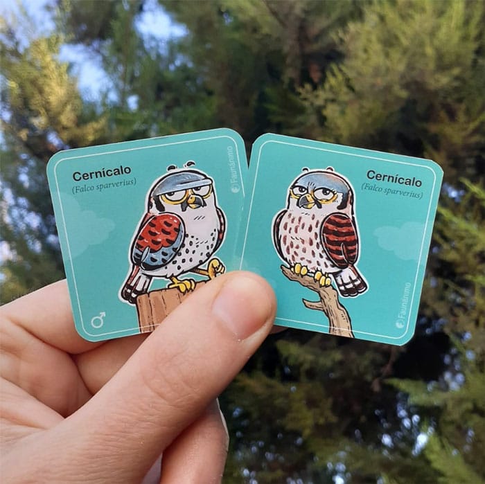 faunanimo's tweet photo. Estos coquetos chucaos lo saben!
Ayer lanzamos la preventa de nuestro mejor creación, el #Memorianimal y gracias su apoyo vamos en buen camino!
Aún falta harto, pero entre todos sacaremos adelante este hermoso juego!
Puedes encargarlo aquí: https://t.co/szl4GC2y8r 👈
Gracias!! https://t.co/Mz1tAh3bI1