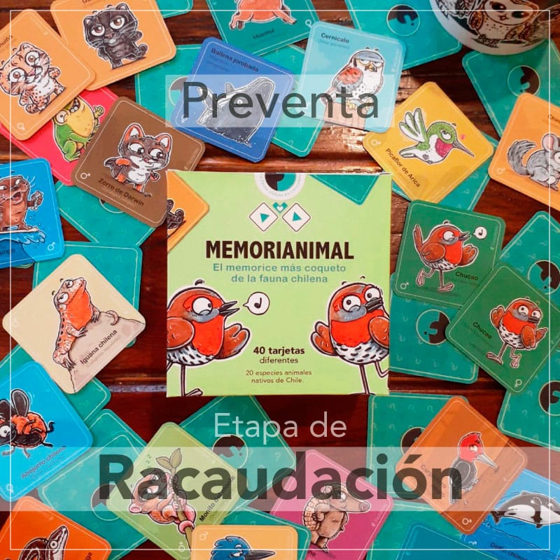 faunanimo's tweet photo. Estos coquetos chucaos lo saben!
Ayer lanzamos la preventa de nuestro mejor creación, el #Memorianimal y gracias su apoyo vamos en buen camino!
Aún falta harto, pero entre todos sacaremos adelante este hermoso juego!
Puedes encargarlo aquí: https://t.co/szl4GC2y8r 👈
Gracias!! https://t.co/Mz1tAh3bI1
