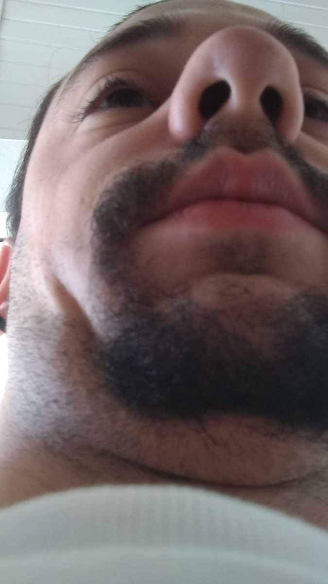 WikiPapada tweet media