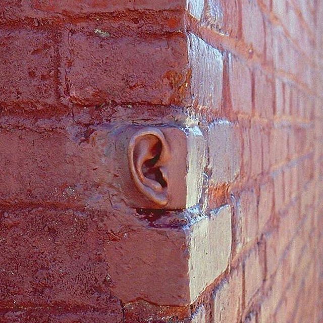 RaminNasibov's tweet photo. Ear by Michael Beitz https://t.co/ZxAW272xT1