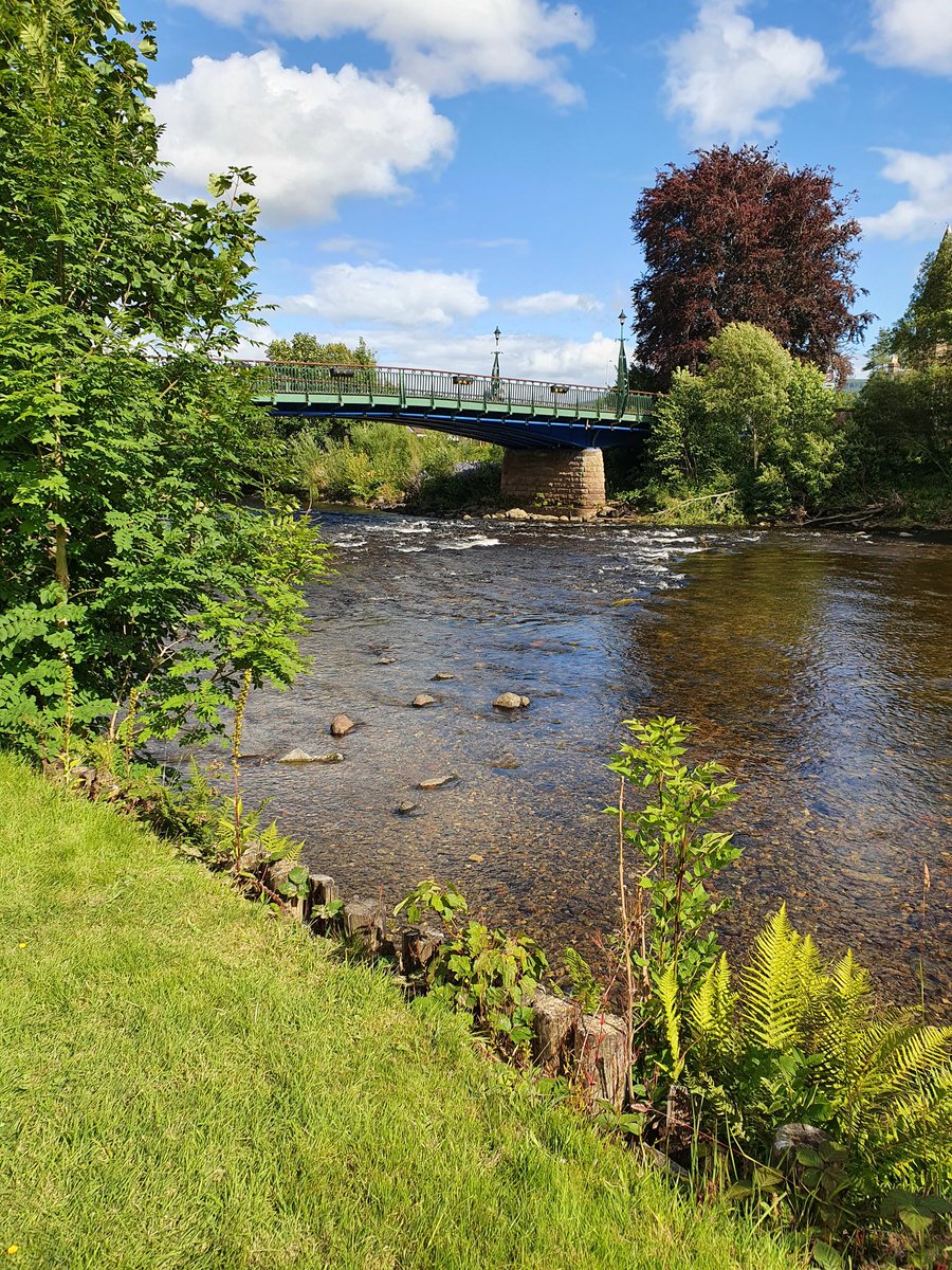 katdaz01's tweet photo. You can't beat Scottish haddock &amp; chips...even better sitting by the 
River Earn 😋 https://t.co/d6eZsvvWtX