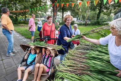 Al ruim 3000 euro voor Marikenhuis, boeren gaan dinsdag ook gladiolen verkopen
gelderlander.nl/heumen/al-ruim…