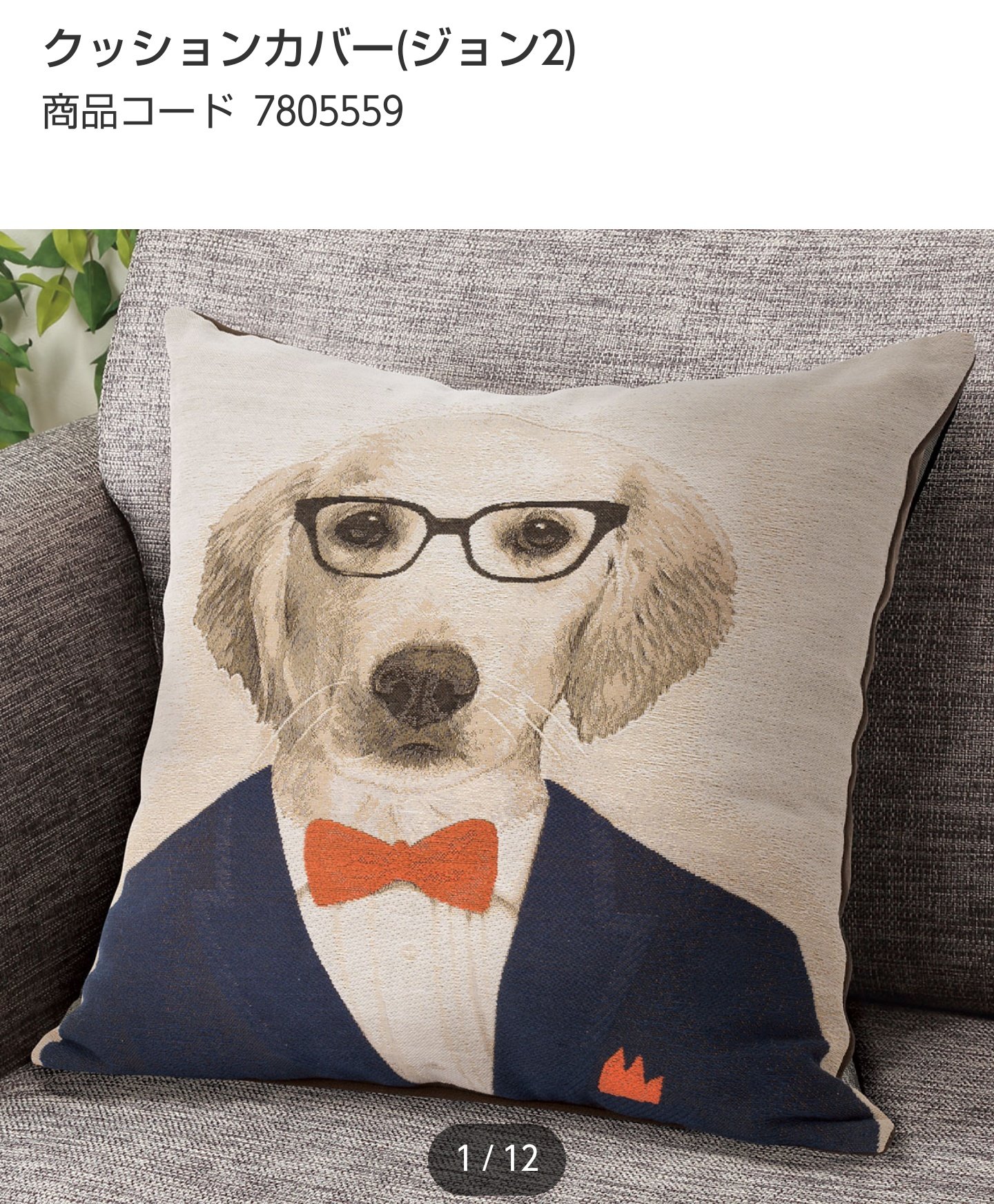 りーぼう ニトリでソファーに置いてあったメガネ犬のクッション 欲しかったけど我慢 ところがyoutubeで見続けてるjoyと言うゴールデンレトリバー君のおうちに置いてあってしかも今日買ったときいて買えばよかったと後悔 笑 ソファーに置いてある