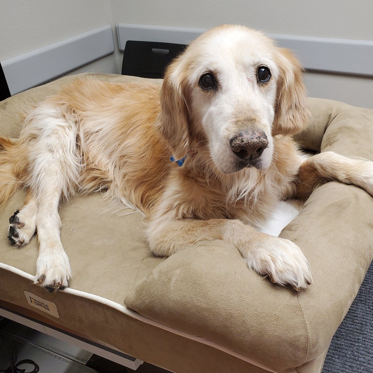 Mrs. Gilmer's ELA tweet media