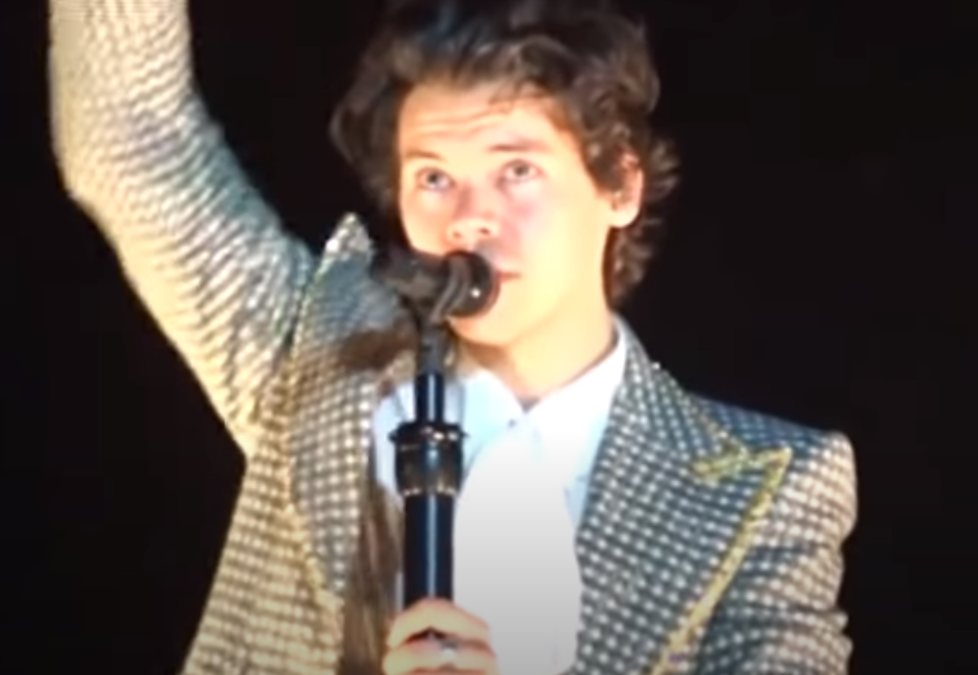 + Plus, from the Larry fetus times we know very well what loved-up L*uis and H*rry look like and we can recognize those looks even from the virtual distance unmistakably +