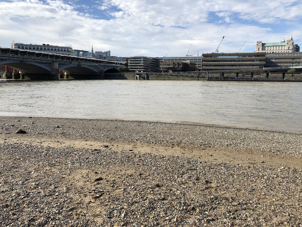 BEACH?!!*does NOT paddle*