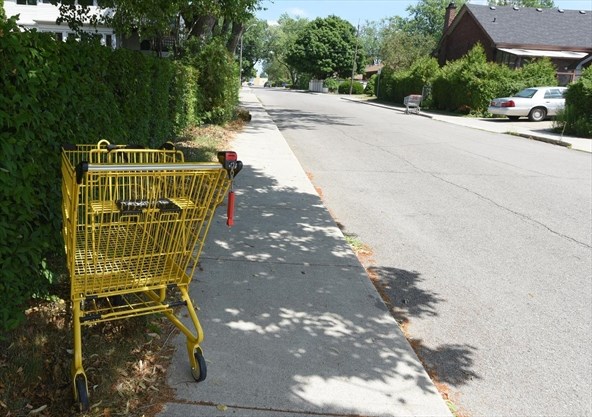 HamOntComNews's tweet photo. Bonnington — a neighbourhood on the central Mountain — is a Bermuda Triangle that swallows up shopping carts. #HamOnt #HamiltonMountain #LocalMystery
https://t.co/pZ8hxAIVnd https://t.co/EWwcrJmY0F