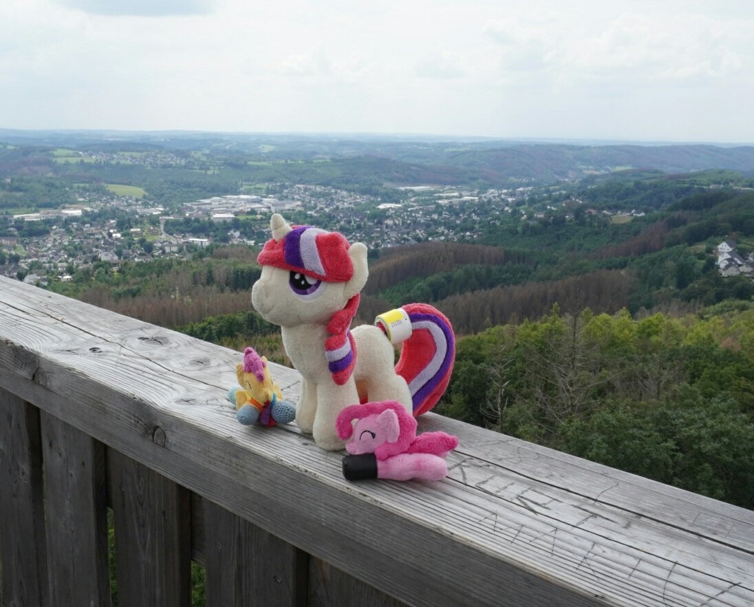 Hiking at Bronies NRW camping with <a href="/paradigm96/">paradigm</a> and <a href="/Spark_633/">Spark</a>