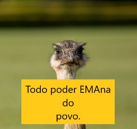 EmaDoAlvorada's tweet photo. https://t.co/2XqjDsQWeI