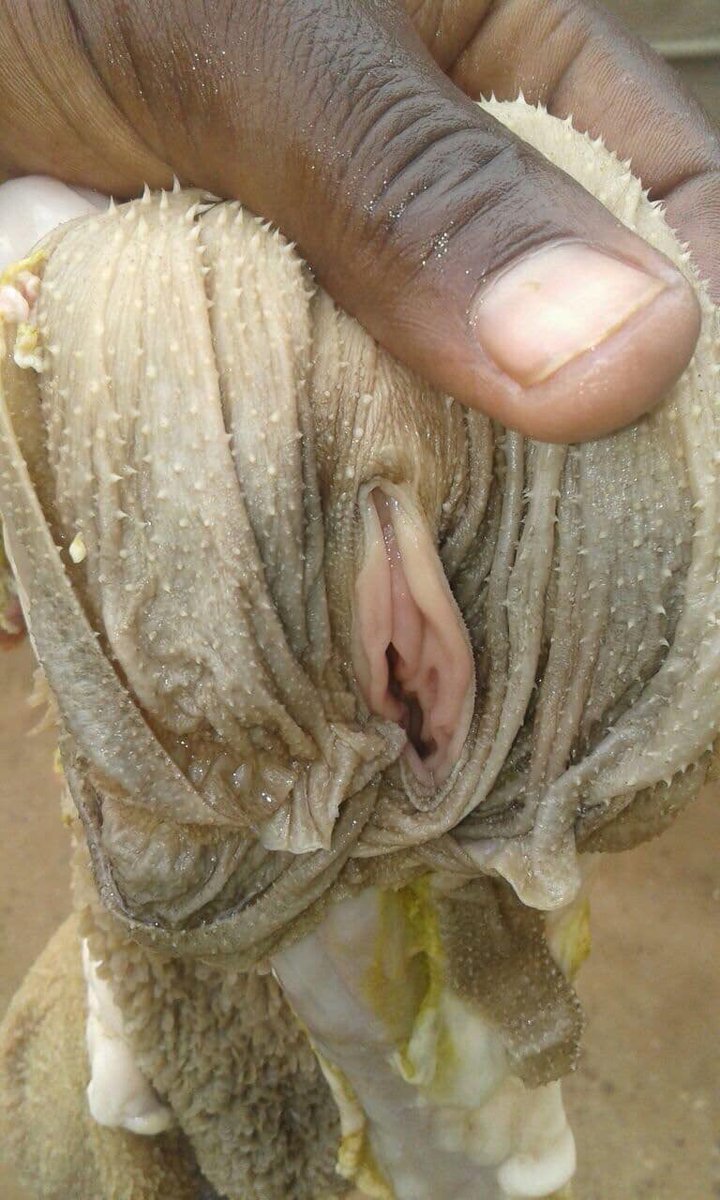 Malebe Rafekt @MissTau2 @selandingo @u_ratoe This is Malebe if you're still wondering
