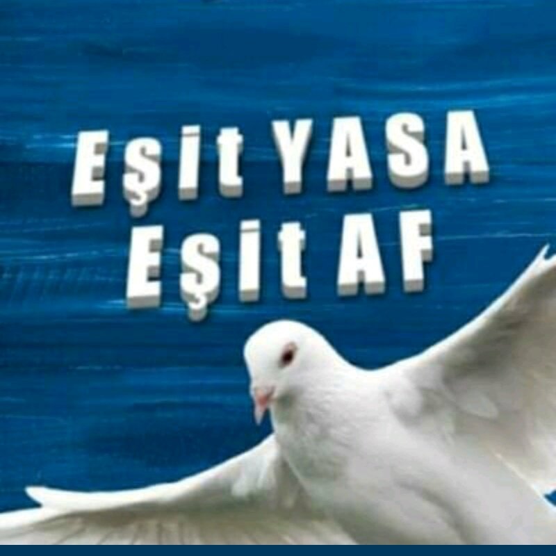 6160osman's tweet photo. MilletinAF istiyorSynErdoğan
@RTErdogan 
@AYMBASKANLIGI 
@ikalin1 
@fahrettinaltun 
@yilmaztunc 
@abdulhamitgul 
@NumanKurtulmus 
@drbetulsayan 
@erkankandemir 
@abuyukgumus 
@leylasahinusta 
@CK_Samsun
Adli mahkuma ⬇⬇⬇ https://t.co/yo80WEz421