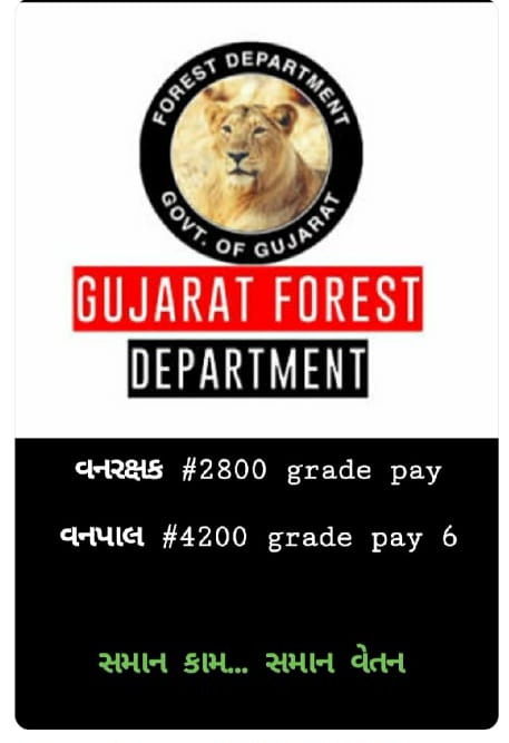 અમને અમારો હક અપો. #2800gradepay_forestguard
#4200gradepay_forester
<a href="/CMOGuj/">CMO Gujarat</a> 
<a href="/tv9gujarati/">Tv9 Gujarati</a> 
<a href="/sandeshnews/">Sandesh</a> 
<a href="/isudan_gadhvi/">Isudan Gadhvi</a> 
<a href="/VtvGujarati/">VTV Gujarati News and Beyond</a> 
<a href="/gujratsamachar/">Gujarat Samachar</a>
<a href="/vijayrupanibjp/">Vijay Rupani Memorial</a> 
<a href="/Ganpatsinhv/">Ganpatsinh Vasava</a> 
<a href="/Nitinbhai_Patel/">Nitin Patel</a>