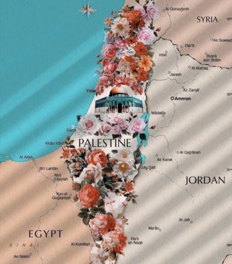 Assaadtaha's tweet photo. قرأت دعوة على السوشال ميديا ووجدتها رائعة:

"ضعوا في بيوتكم خارطة فلسطين" 

قد لا نستطيع أن نفعل شيئا الآن لكن أولادنا وأحفادنا سيفعلون. 

#فلسطين https://t.co/r6Sau0mEtY