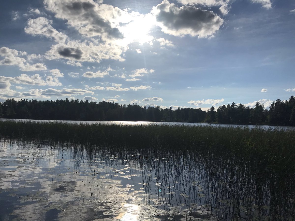 pekkasaarremaa's tweet photo. @MikkoMnkknen2 @PekkaKirvesmies Kyllä ja koko Suomi. #omaranta https://t.co/q3LNAROMRi