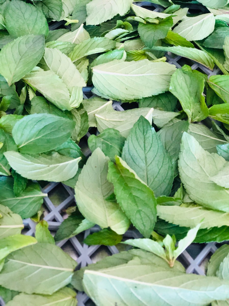 Our Manitoulin Mint bar has quickly become our best seller this summer. We grow the mint here on #ManitoulinIsland, harvest it, then wash &amp; dehydrate it before grinding it into our white chocolate that we make entirely 'from scratch'. Five ingredients. No artificial stuff.