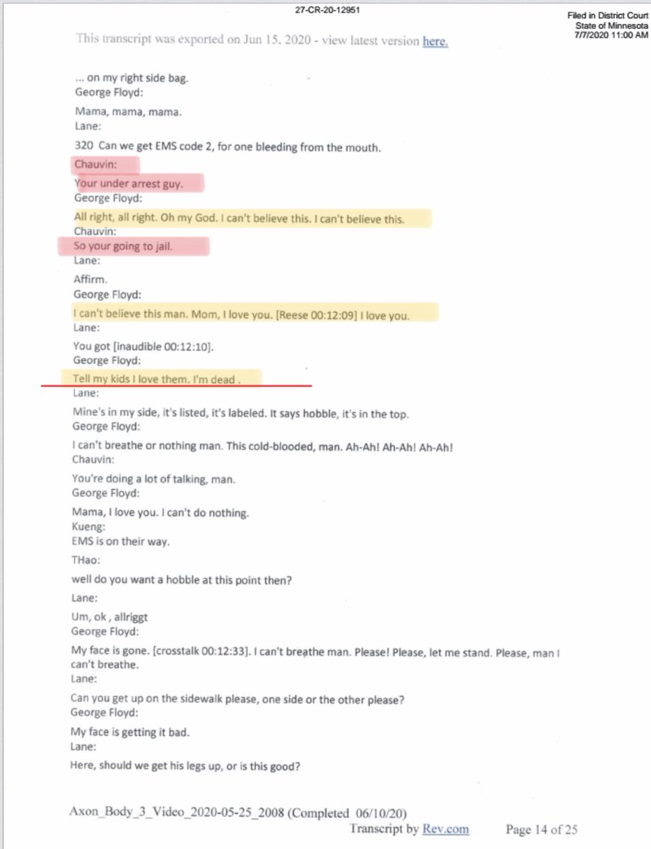 Floyd says “They gonna kill me, They gonna kill me” and “I’m so sorry, I didn’t know” (what did he fear and what did he know that made him confident he would be executed?)