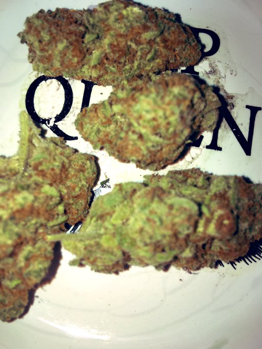 Enjoyed it while it lasted ! Dosido from @ProjectReleaf , it was so aromatic , myrcene was strong with<a class="tags" target="_blank" title="On Twitter" href="/?out=eyJ0eXAiOiJKV1QiLCJhbGciOiJIUzUxMiJ9.eyJpYXQiOjE3MjE5OTk5MTYsImlzcyI6InR3cG9ybnN0YXJzLmNvbSIsIm5iZiI6MTcyMTk5OTkxNiwiZXhwIjoxNzUzNTM1OTE2LCJyZWRpcmVjdF91cmwiOiJodHRwczovL3R3aXR0ZXIuY29tL1Byb2plY3RSZWxlYWYifQ.9oLSqBv0G4lc0xoUlp2p9tN7tE8VKXddqeNNFw2guvQURVQBxIiolNnktI0IFhG2CFzxIMZe-mI01bbxZE5j_g">@ProjectReleaf</a><a href="/tag/medicalmarijuana"class="tags"><span>#medicalmarijuana</span></a>