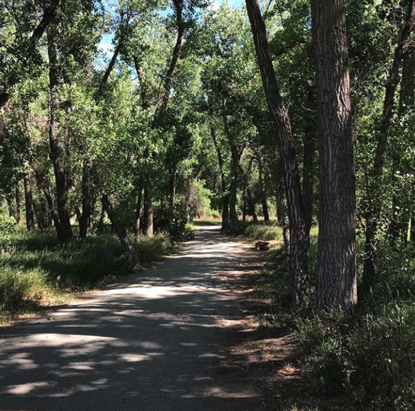 rich_runs's tweet photo. It wasn’t exactly the textbook instagram posting 9 miles this morning. Two knee incidents, sore quads, tired in general and the trails were PACKED! Nonetheless, it is done!
#dowhatyousometimesdontlove #trailrunning #noteverydayisaninstaday #somedaysyoujustfinish #run https://t.co/F1U4DJm1Oc