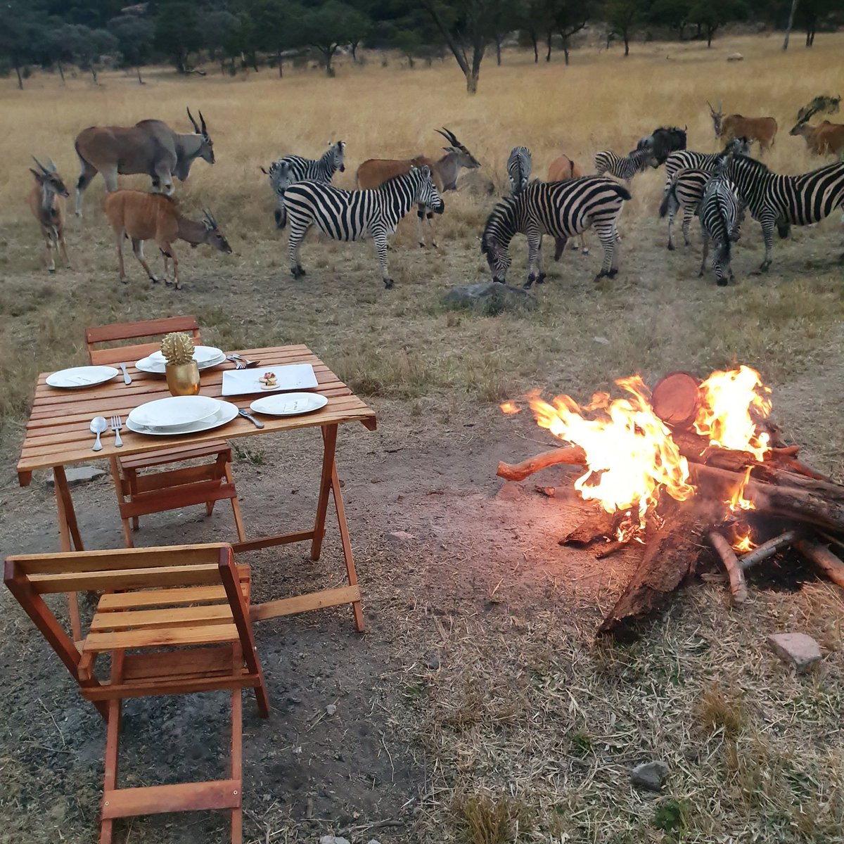 Ignatius Doro tweet media