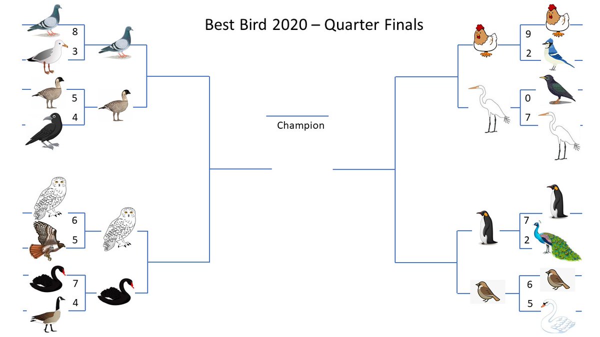 envchemjen's tweet photo. Time for an update on the #murphygroup #bestbirdbracket Round 1 is complete and the winners are posted here along with the votes cast in each round. Next week we move into the quarter finals starting with pigeon (π) vs nΔnΔ (π) https://t.co/coI4Wx2jdu