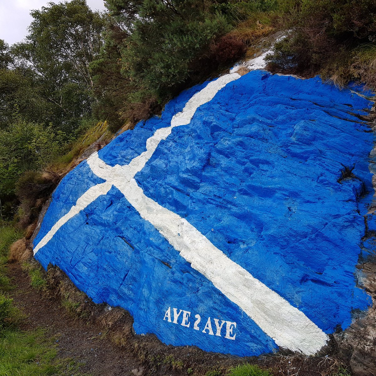 GreyhoundTaxis's tweet photo. Saltire at sugar loaf, cow hill, Fort William #KeepTheHeid #aye #saltire #fortwilliam #scotland #indyref2 https://t.co/aTsOOoKRYA