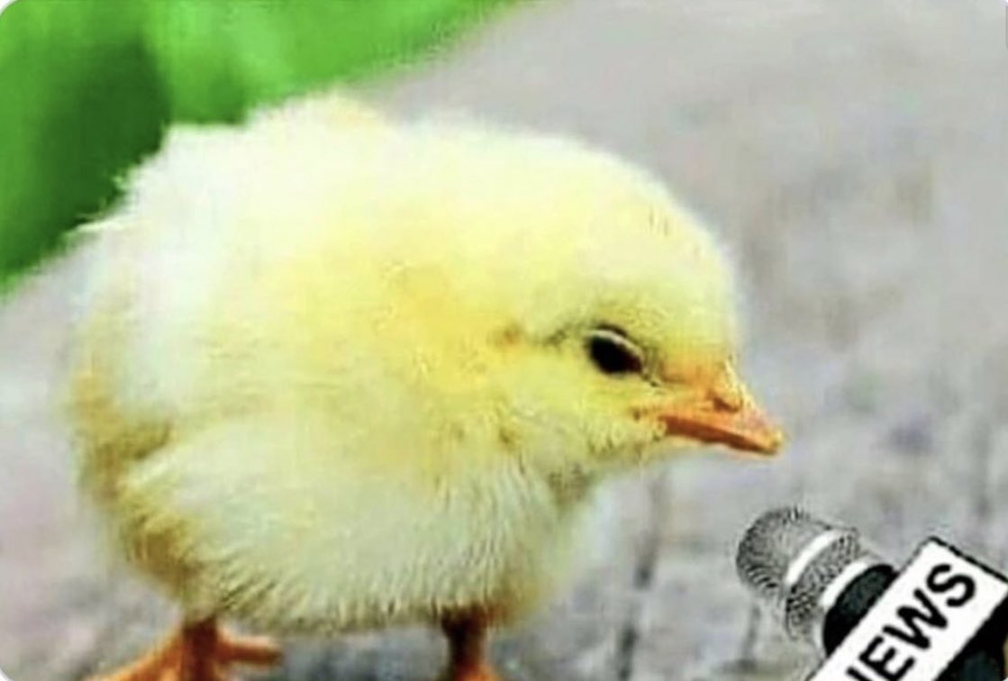 MellamoRalphW's tweet photo. —¿Cuándo terminará la pandemia?
                • Pollo que sé https://t.co/8r0COh0TT1