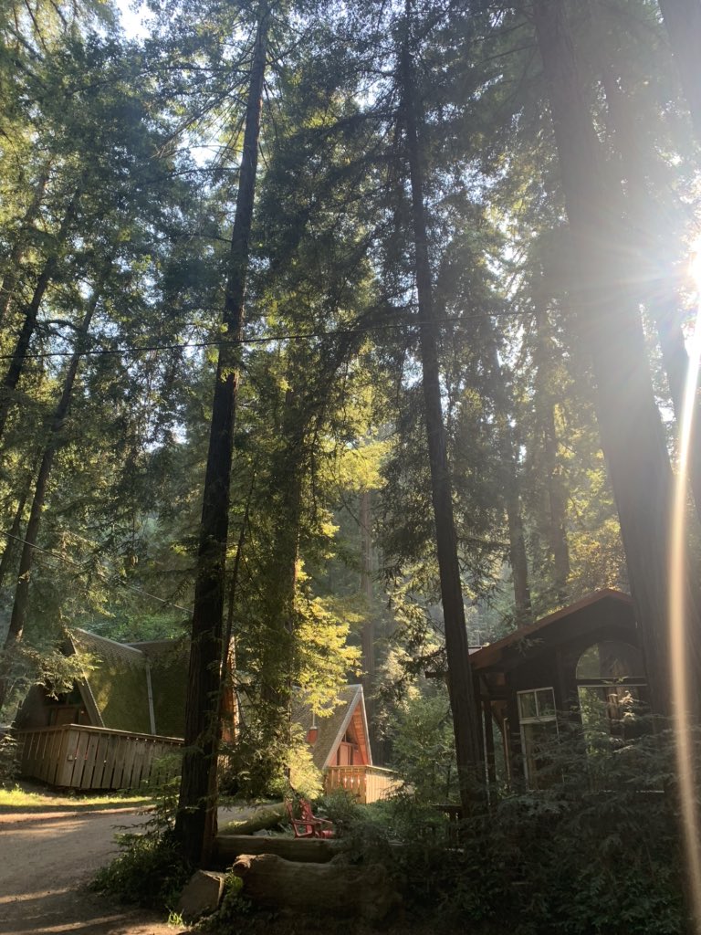 Haley Ellison (@haley_ellison) on Twitter photo 