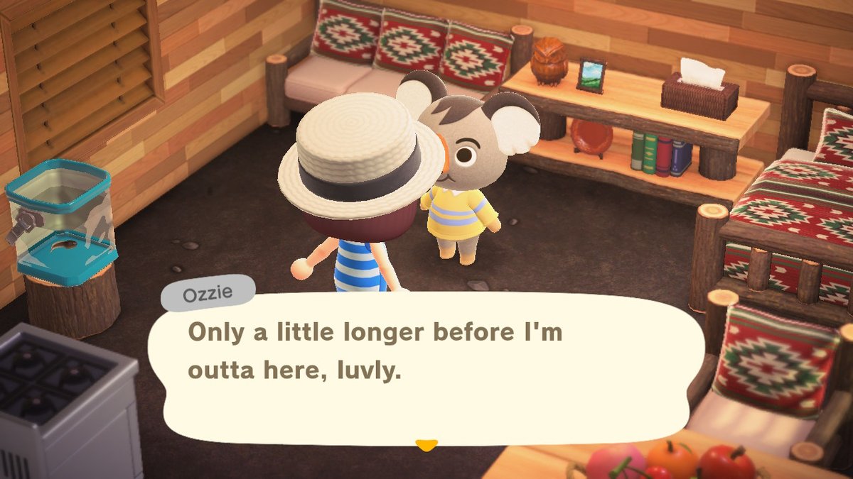 rasyu7's tweet photo. ozzie's leaving tomorrow. he's on fourth tier, fyi. contact me if u're interested #AnimalCrossing #ACNH #anchvillager https://t.co/fut2lmGHhF