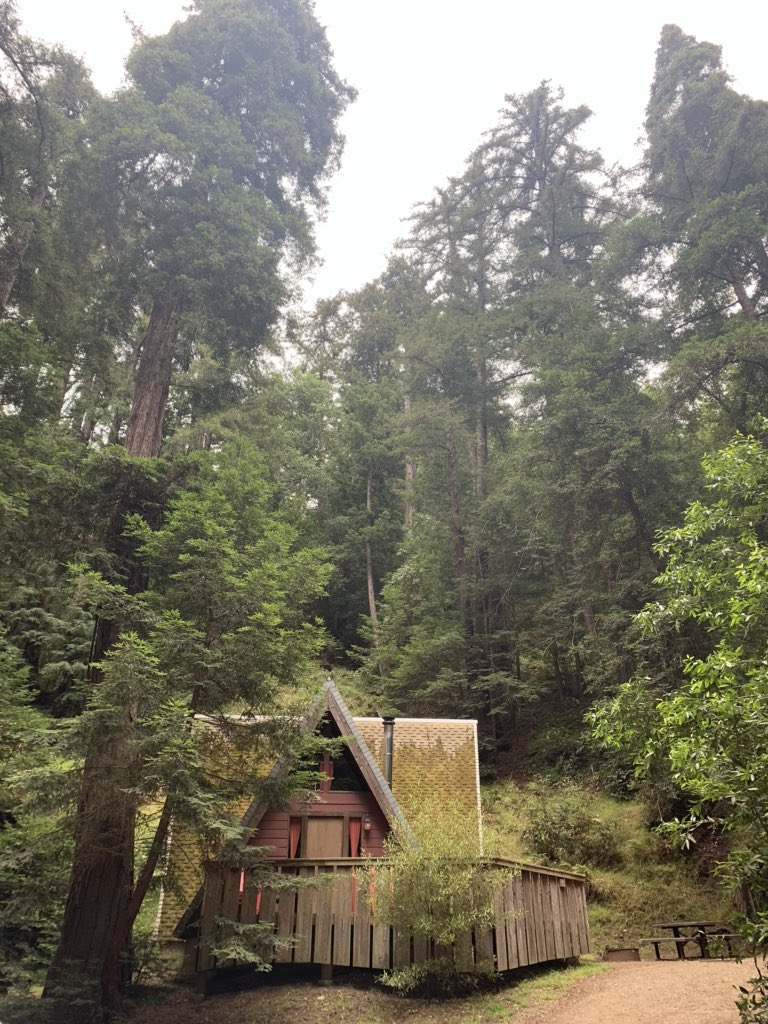 Haley Ellison (@haley_ellison) on Twitter photo 